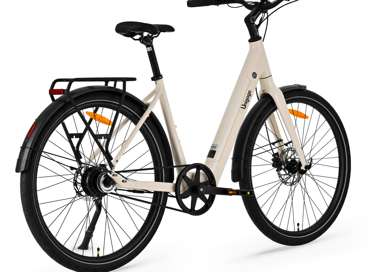 Bicicleta Eléctrica de Montaña - Mountain Biking App reseña y precio